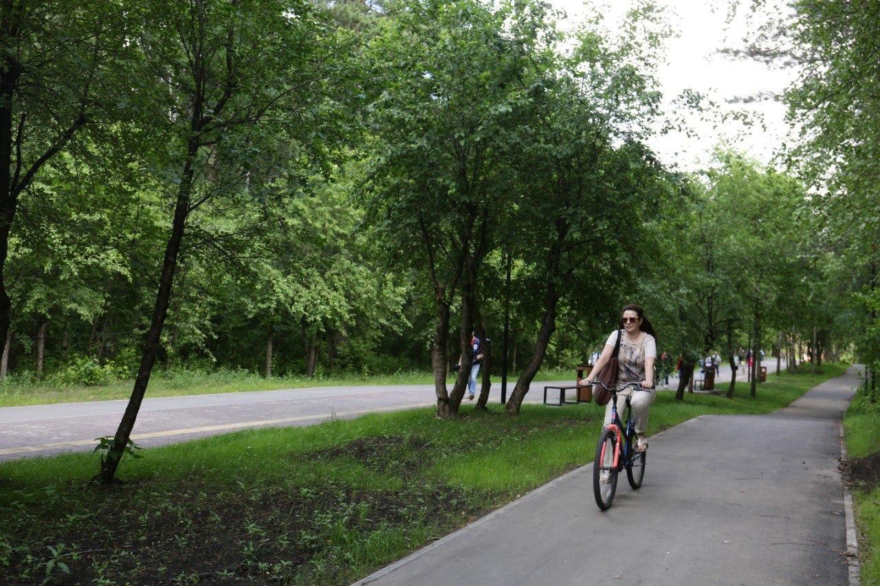 Фото Мэр Новосибирска рассказал о развитии Заельцовского парка и призвал горожан голосовать за объекты благоустройства 2 - Сиб.ФМ Фото Мэр Новосибирска рассказал о развитии Заельцовского парка и призвал горожан голосовать за объекты благоустройства 2